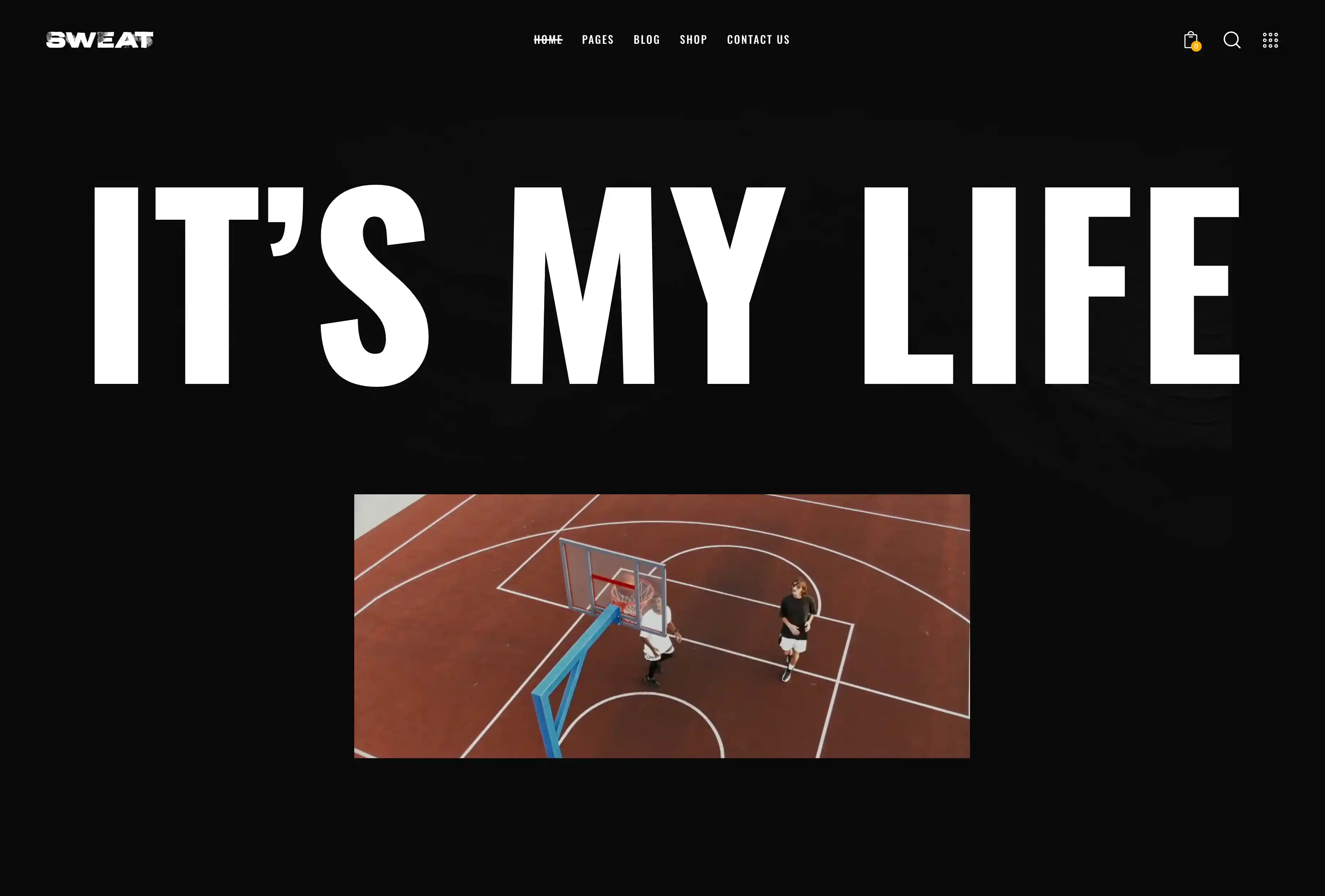 Preview of Gym Pro Website